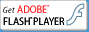 FLASHPLAYER