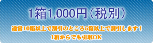 1��1,000�~�i�ŕʁj
